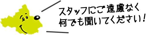 スタッフにご遠慮なく何でも聞いてください！
