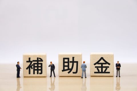 マイホーム購入 補助金