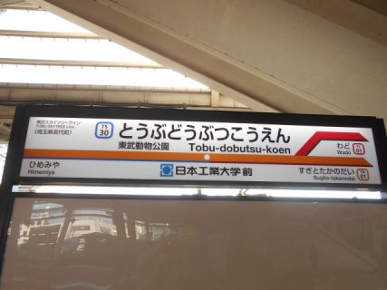 マイホーム探し　杉戸　周辺環境