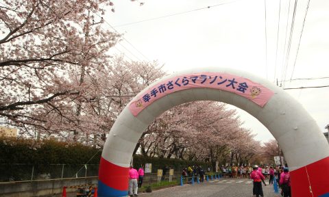 幸手市　おすすめスポット