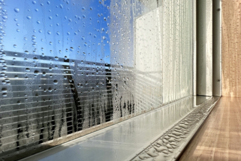 冬　内見　窓　結露